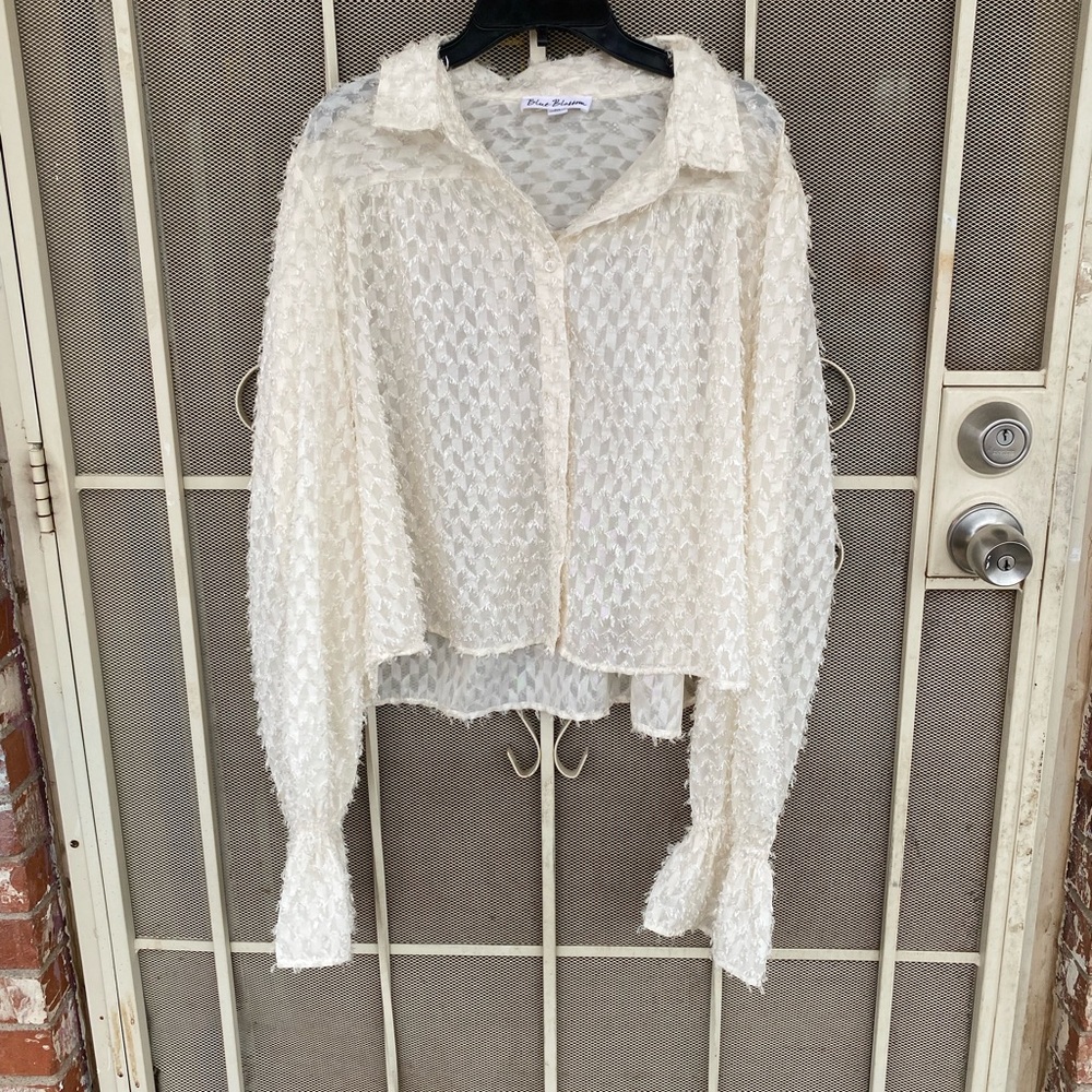 Cream Textured Blouse from blue blossom